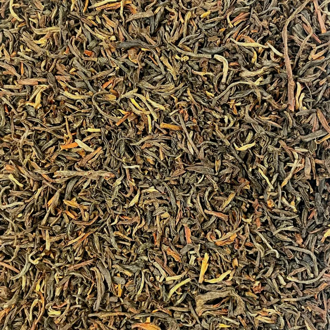 [746092343761] Kumaon Black